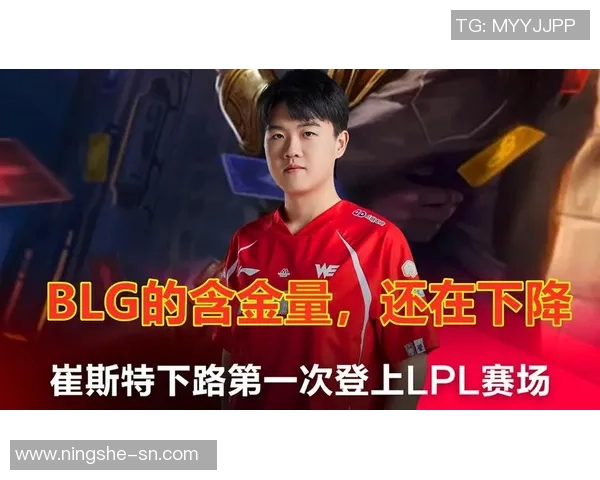 WE的崛起之路：英雄联盟中的奋斗与荣耀纪实