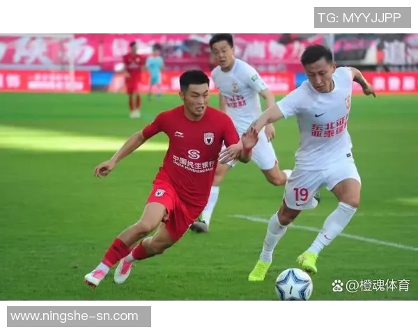 南京排球队逆袭之路：从困境到辉煌的反击之战解析